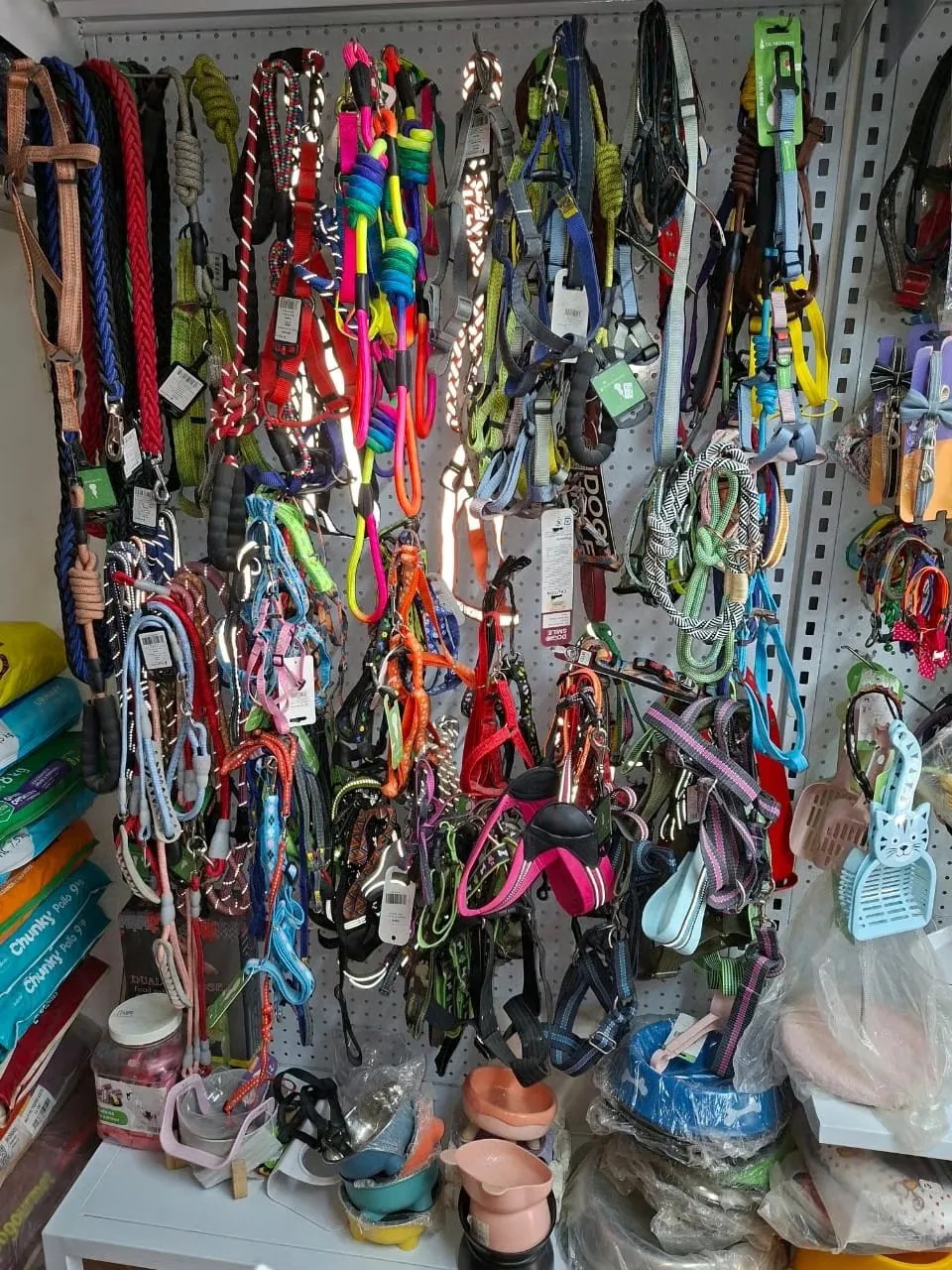 Exhibidor de correas, collares, arneses y bozales de colores en Patitas Pet Shop, con correas trenzadas y con diseños